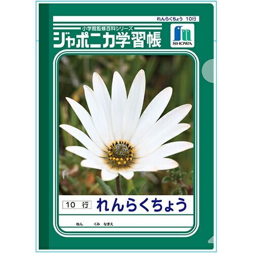 (まとめ）#ショウワノート クリアファイル ジャポニカ学習帳文具 A4 Ｂ 377998002 【×30セット】