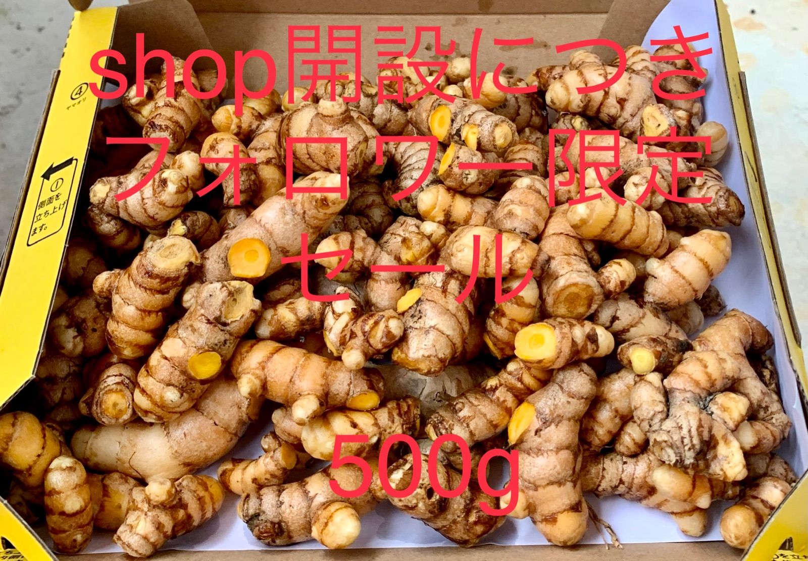 完全無農薬沖縄県やんばる産生秋ウコン1kg www.maetinga.ba.gov.br