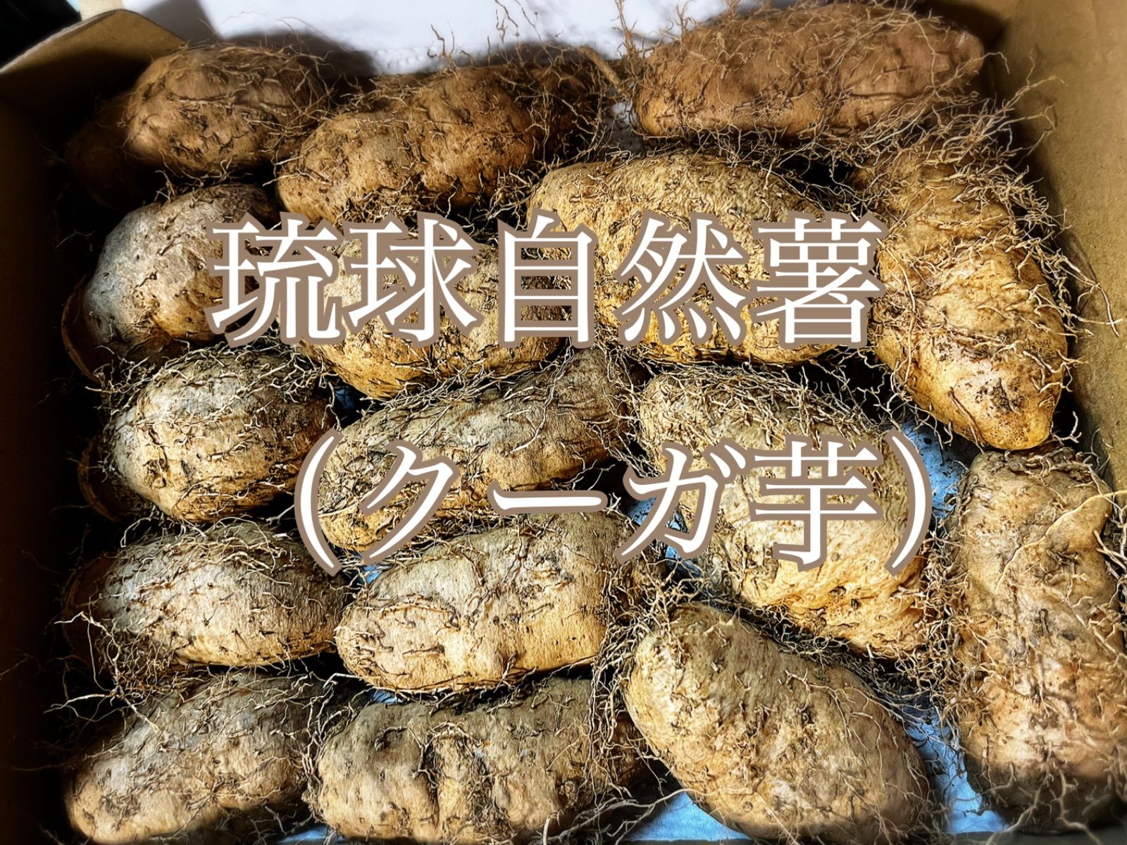沖縄県産 クーガ芋 約1kg 希少な琉球自然薯 - メルカリ