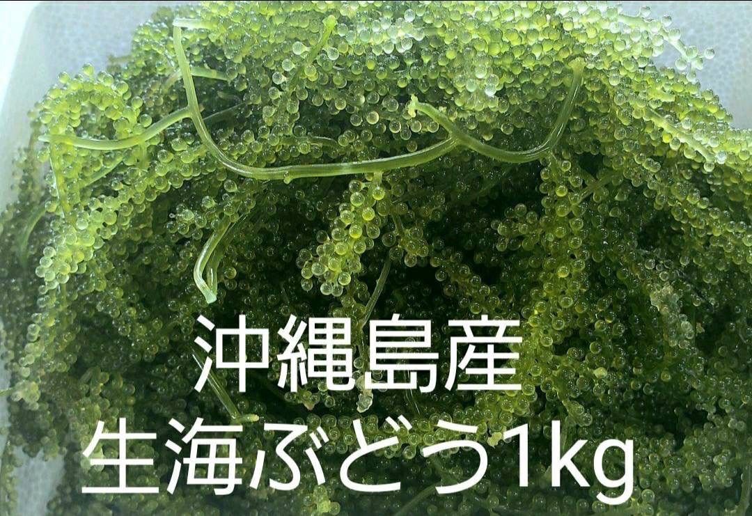 生海ぶどう 茎付きたっぷり1kg ☆タレ10p付き