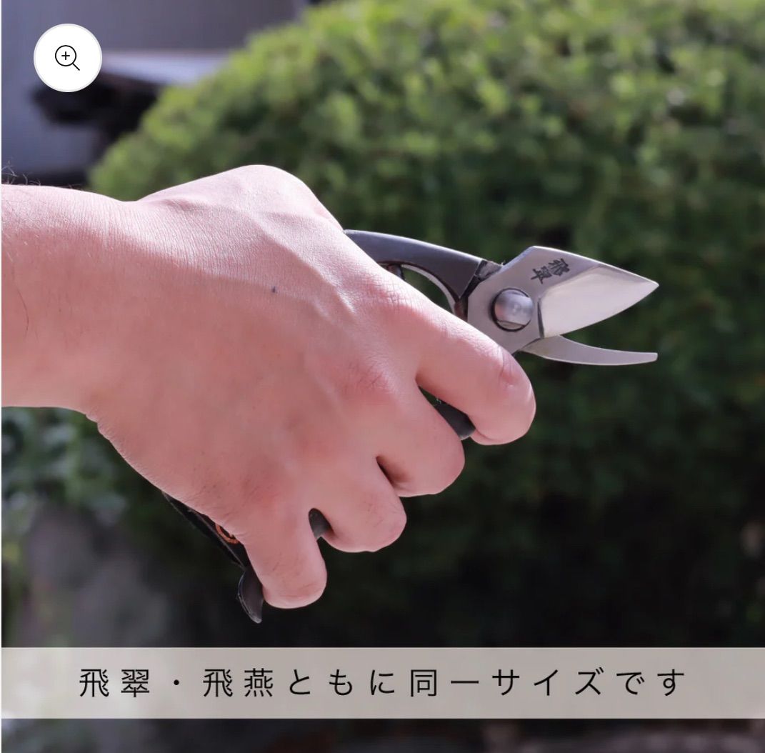 飛庄