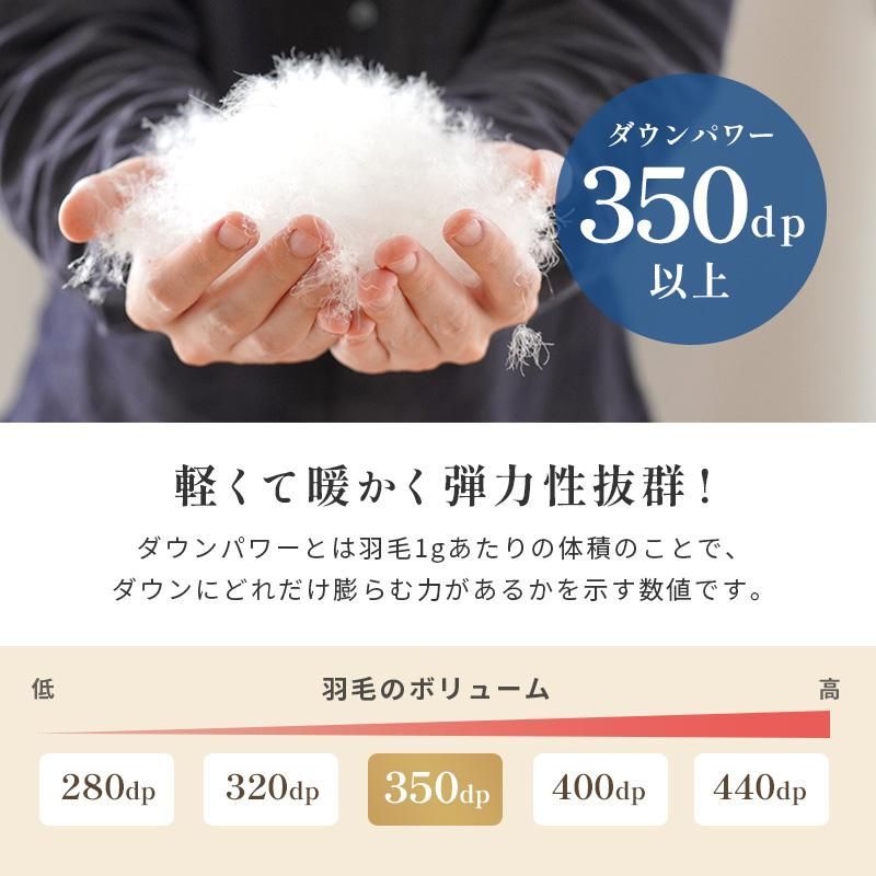 羽毛布団 福袋 シングル ダックダウン90％ 日本製 色柄おまかせ 新品