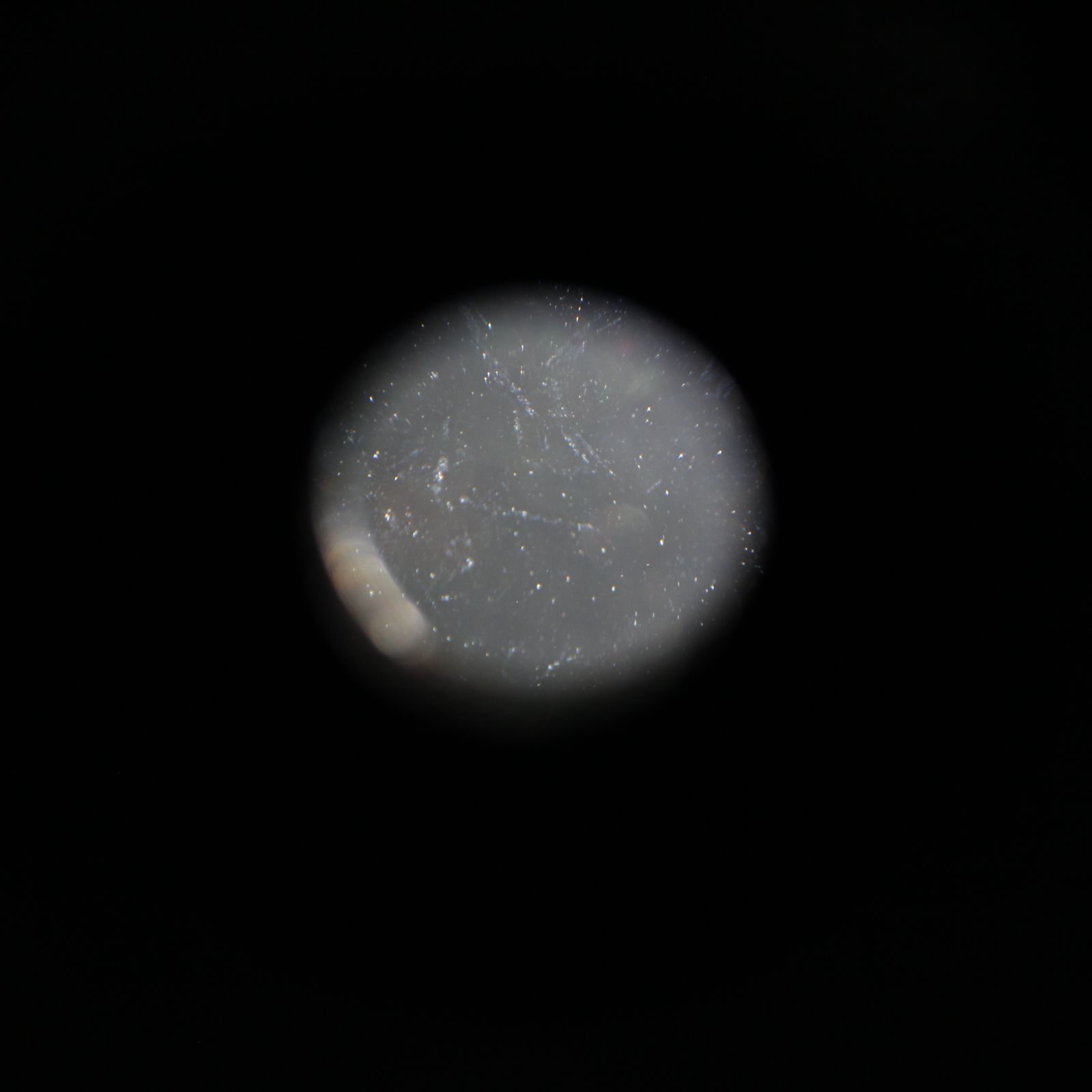 F4-5.6 D