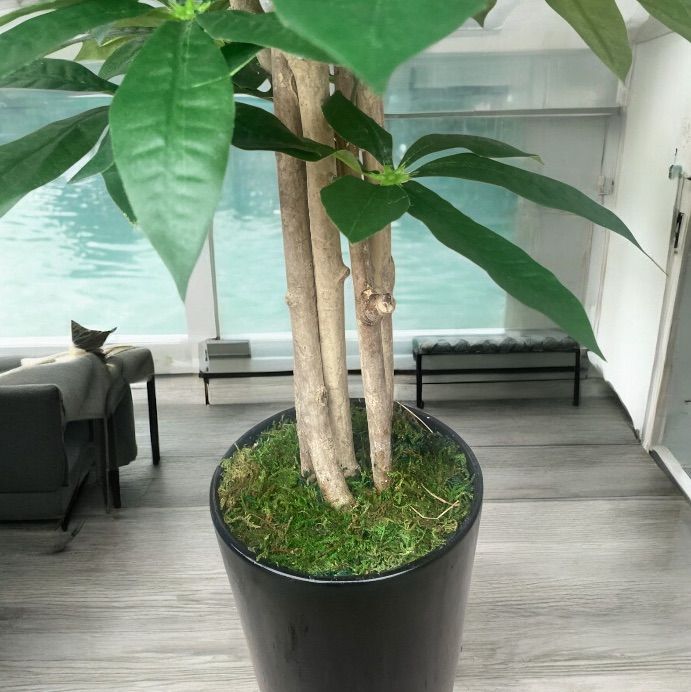 光触媒 人工観葉植物 ウォールグリーン フェイクグリーン ローズ