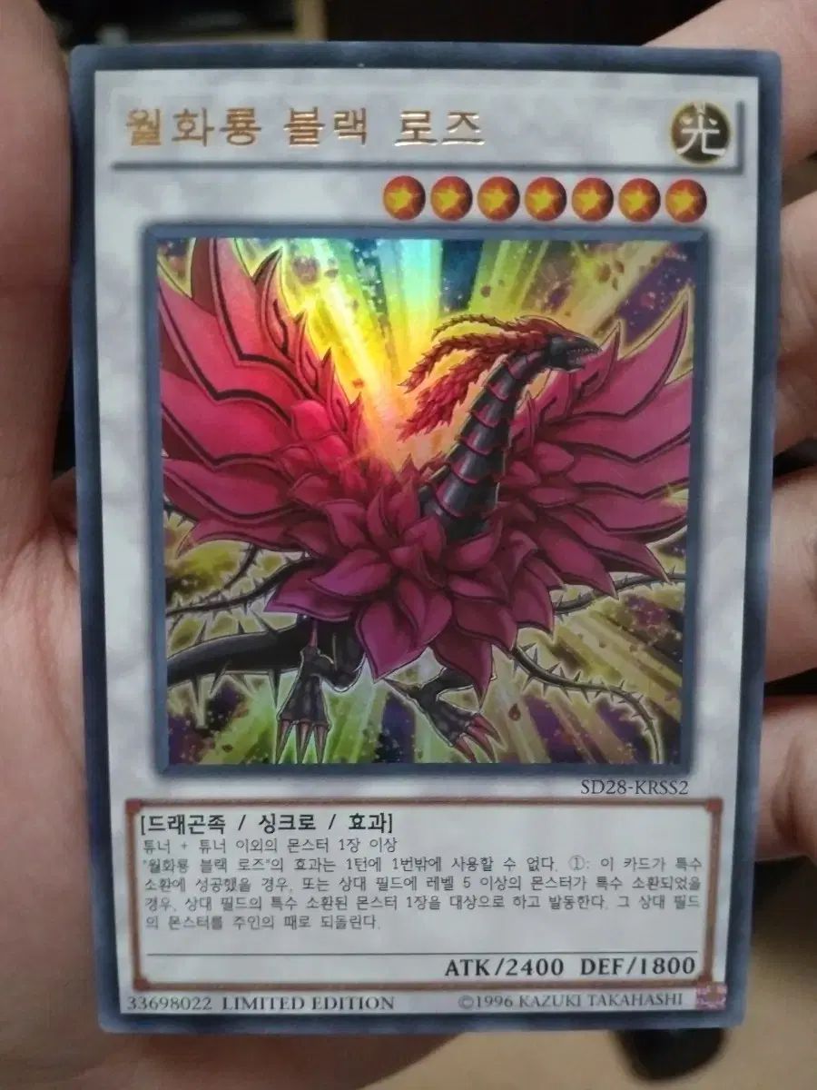 遊 戯 王 ムン ファリョン ブラック ローズ LIMITED edition ウルトラ