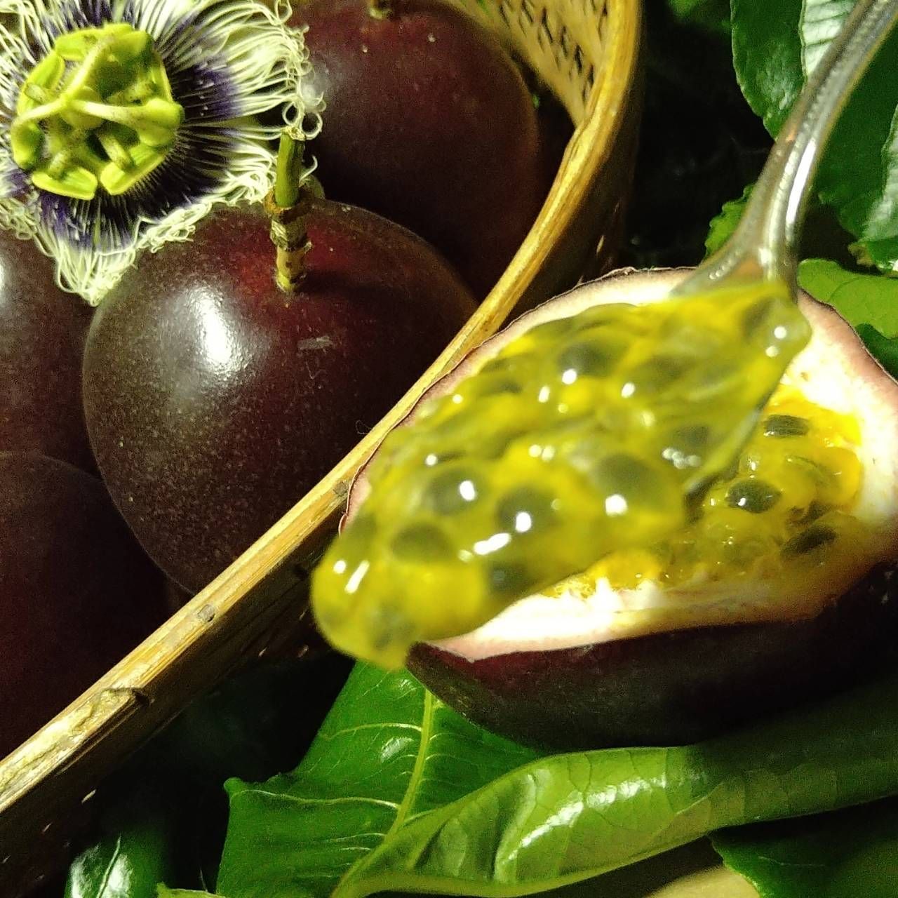 福岡県産 無農薬パッションフルーツ 中身2kg ふるさと納税 奄美市 《奄美大島