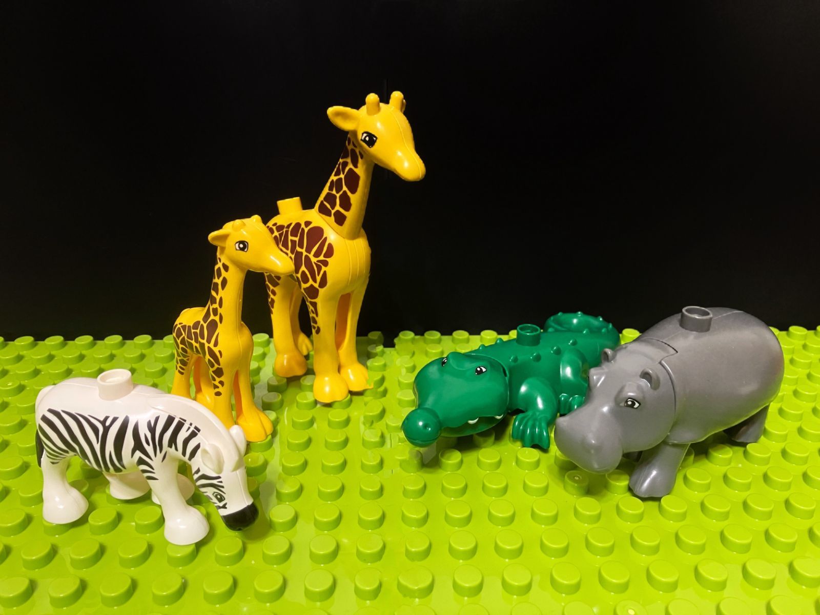 LEGO レゴ デュプロ 互換 ブロック 動物 アフリカ サバンナ 10体セット 知育 ミニフィグ レゴ互換品 lego おもちゃ アニマル  クリスマス 室内遊び ミニフィグ LEGO Duplo 人形 知育玩具 1歳 2歳 3歳 誕生日プレゼント ギフト - メルカリ