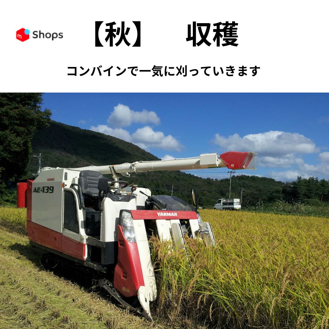 新米 令和7年度 30kg 福島産コシヒカリ 農家直送 - メルカリ