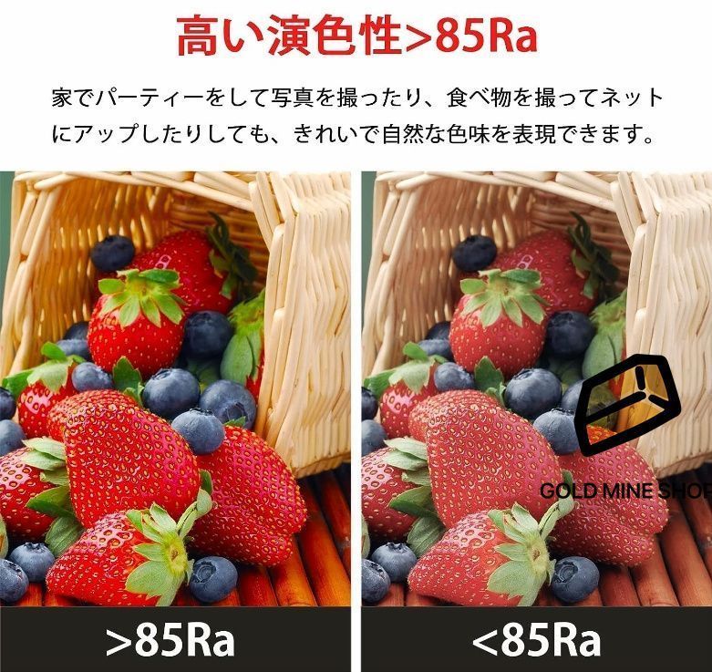 天井照明 照明器具