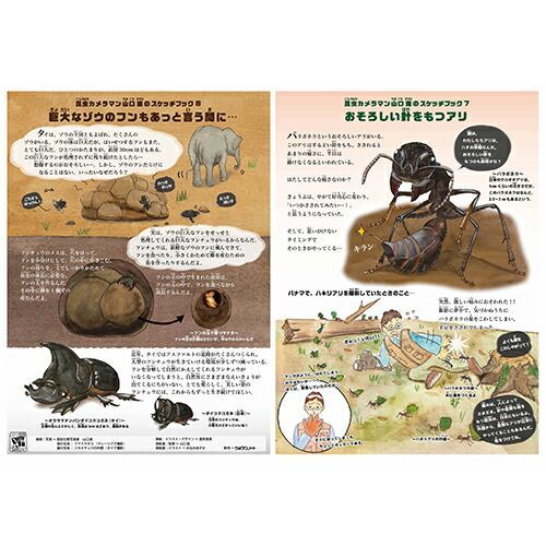  まとめ ショウワノート ノート ジャポニカ学習帳50周年記念昆虫シリーズ 自由帳 B 5 その他 画用紙 画材紙 工作紙