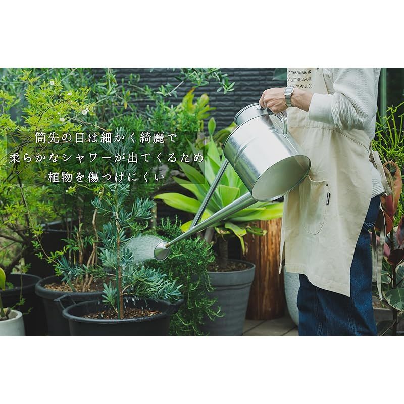 水やり