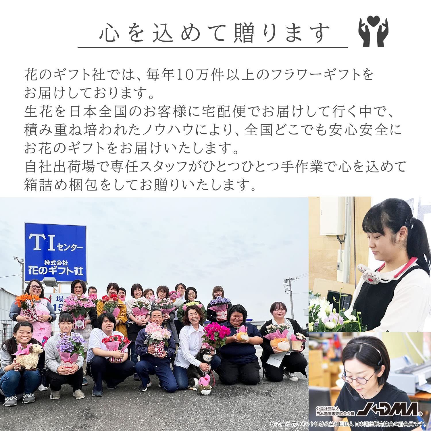 室内用