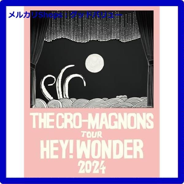 ザ・クロマニヨンズ ツアーHEY!WONDER 2024 DVD 初回生産限定盤 ザ