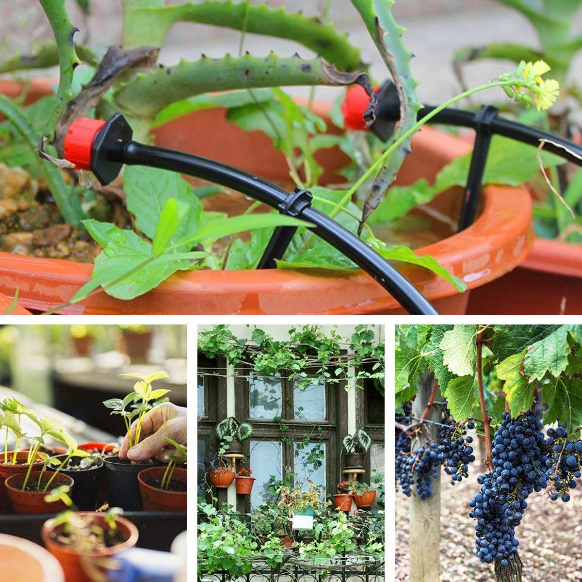 盆栽用 家庭園芸