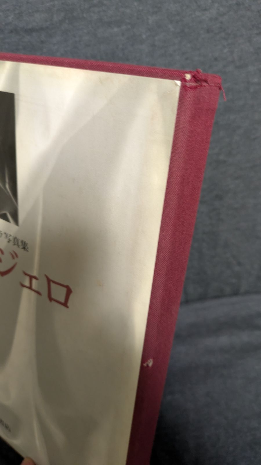 ミケランジェロ―ピエタ アウレリオ・アメンドラ写真集 アウレリオ・アメンドラ写真集 ミケランジェロ ピエタ