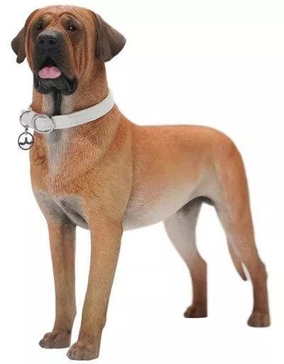 中古】フィギュア 土佐犬 A1 1/6 レジン製塗装済み完成品 - メルカリ