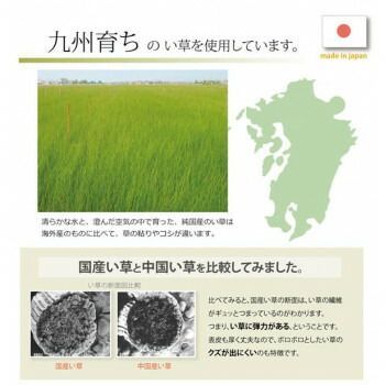 純国産い草使用 マットレス