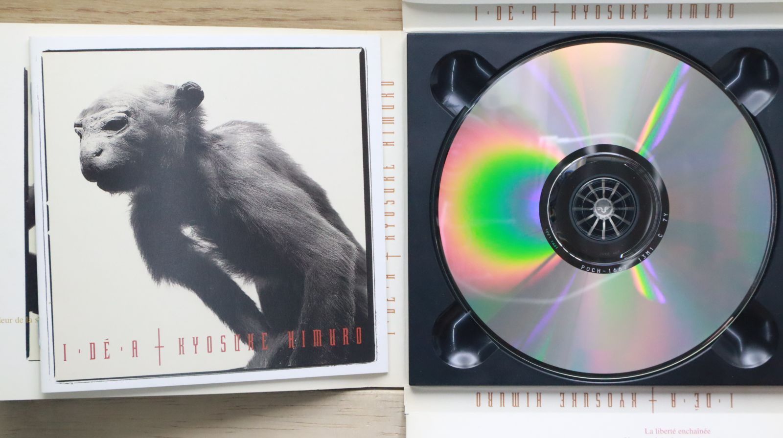 KYOSUKE HIMURO PJCアンブレラ　　２本セット KYOSUKE HIMURO PJCアンブレラ 2本セット ウェア