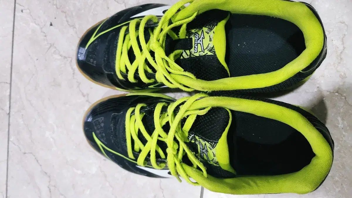 卓球バドミントンシューズ 240