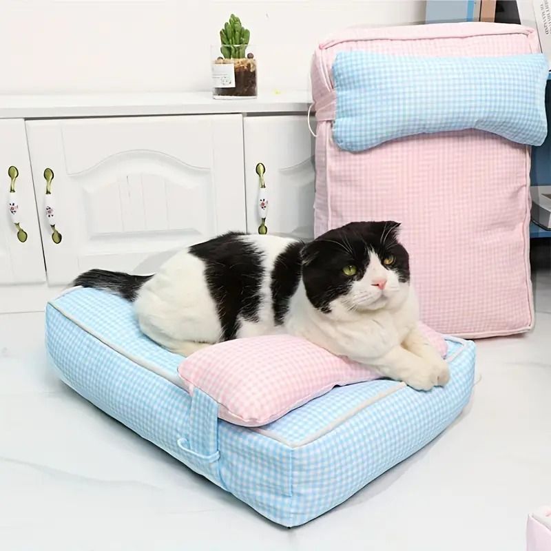 青色 黄色