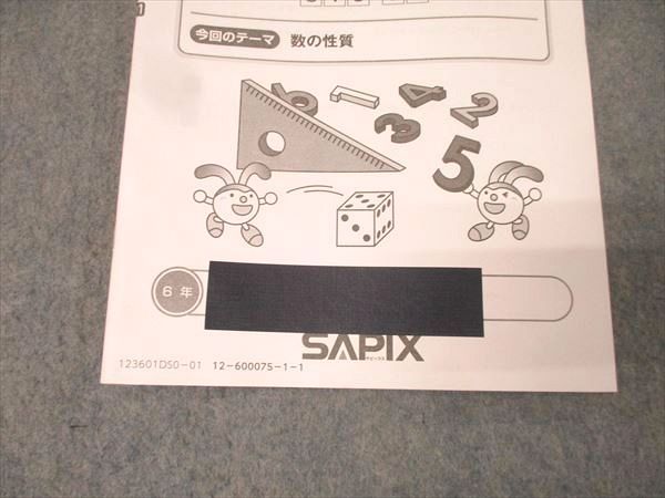 小6 算数　デイリーサピックス　1年分(39冊) 610-01から610-39 SAPIX 小学6年 算数 デイリーサピックス 610-01～38 計38回分