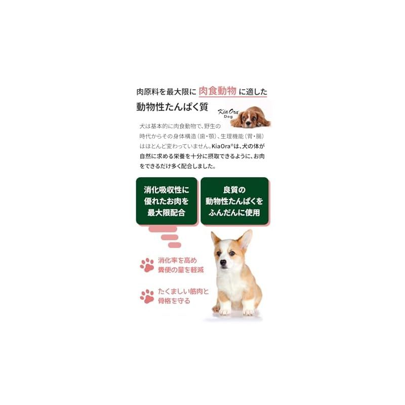 ドッグフード グラスフェッドビーフ＆サーモン