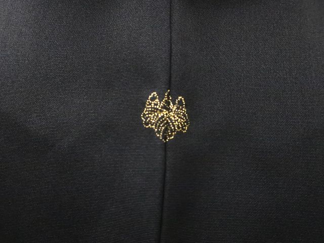 未使用品【風通紗】虹色　黒　正絹　しつけ糸付き　超美品　夏着物　きもの　レア 1_000000073881.jpg