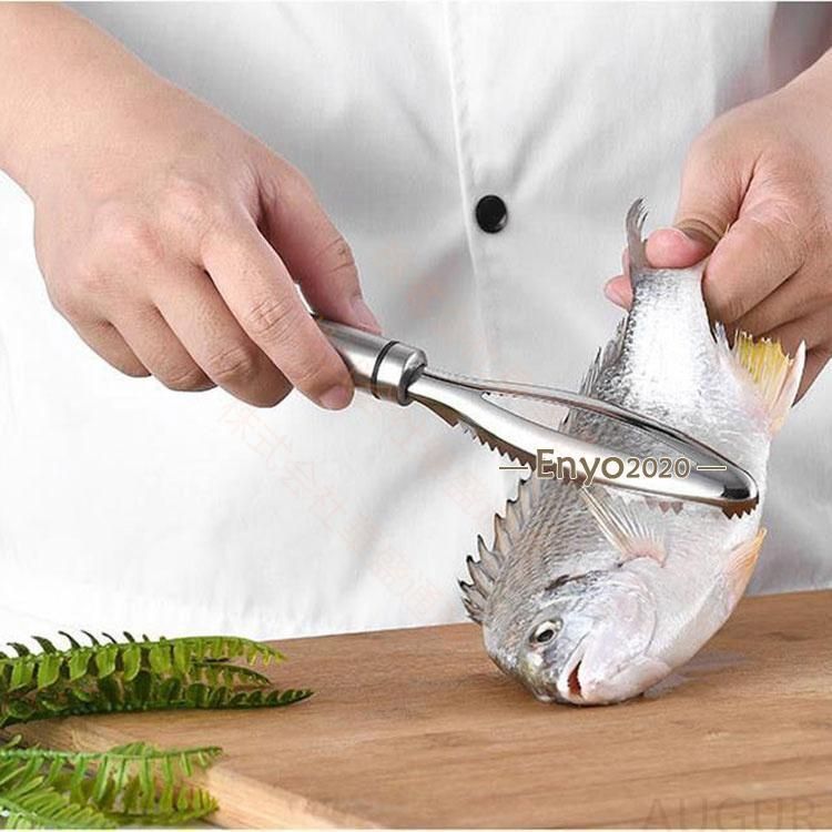 魚 飛び散らない