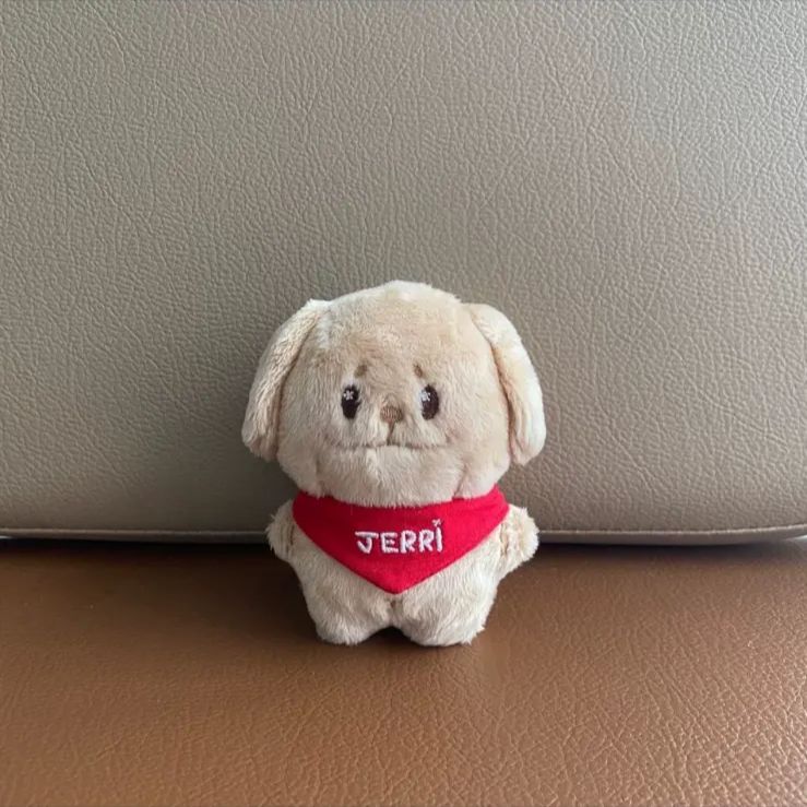 ENHPEN ジェイク　ぬいぐるみ　10cm 新品　マスター enhypen ジェイク ぬいぐるみ 10cm 新品 マスター - メルカリ