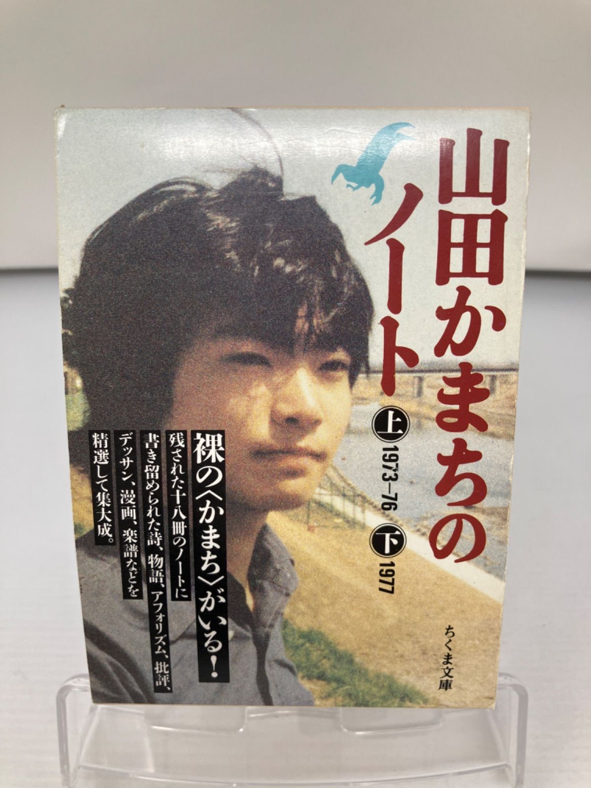 山田かまちのノート 上下2冊 - 文学