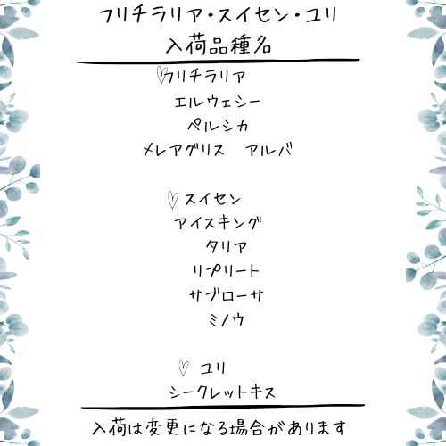 フリチラリア ムスカリ