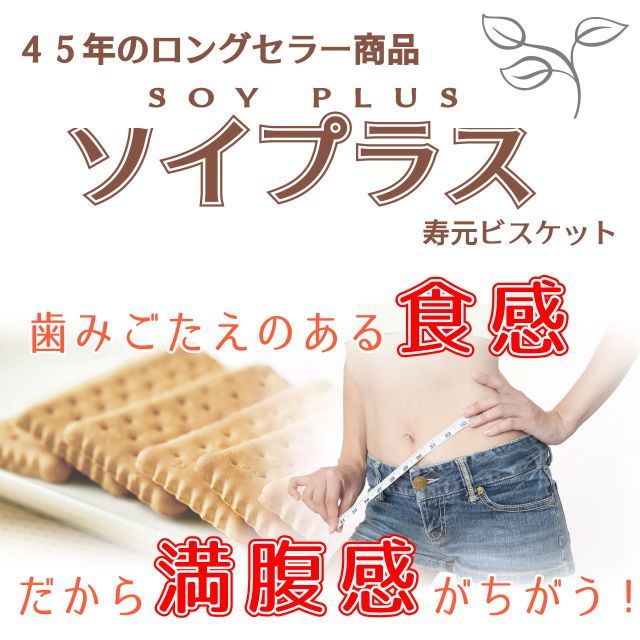 約40g ×6袋