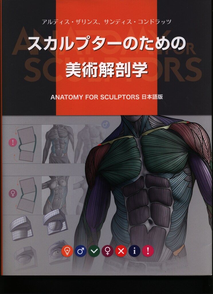 中古】スカルプターのための美術解剖学 -Anatomy For Sculptors日本語