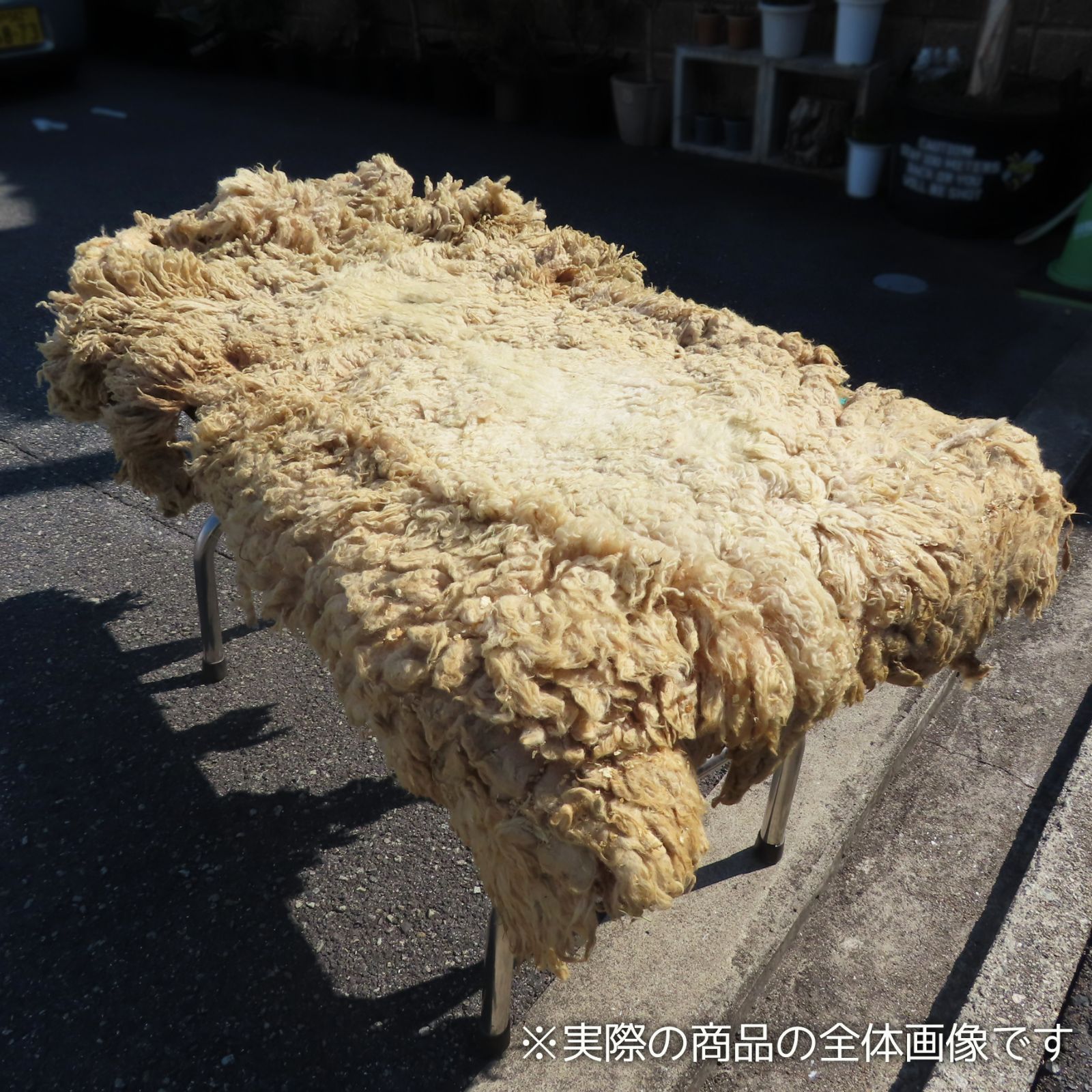 国産羊毛 コリデール 未洗い原毛 約1頭分 約2キロ - メルカリ 国産羊毛 コリデール 未洗い原毛 約1頭分 約2キロ - メルカリ