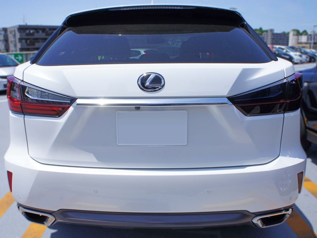 Tint+再利用できる RX 20系 前期 テールランプ スモークフィルム