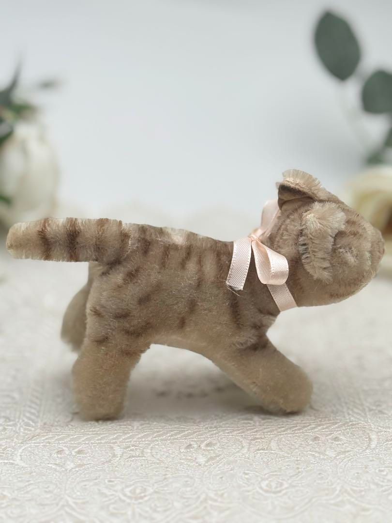 ネコのタプシー