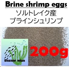 ソルトレイク産ブラインシュリンプ200g - メルカリ