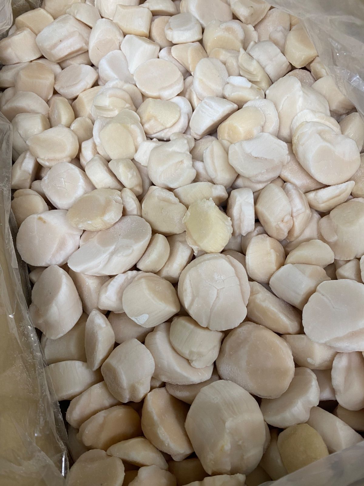 【訳あり】北海道産 ホタテ貝柱1kg【メルカリShopsアワード2023 食品・飲料部門受賞ショップ】