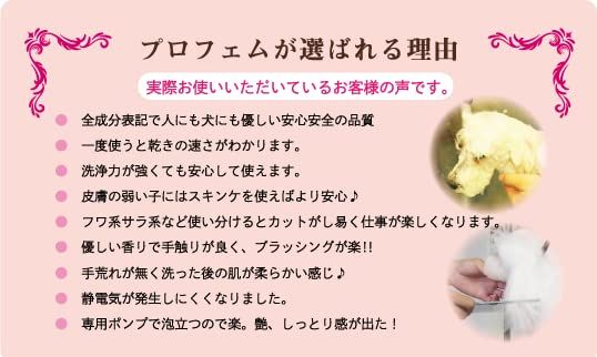 プロフェム スーパーモイスト