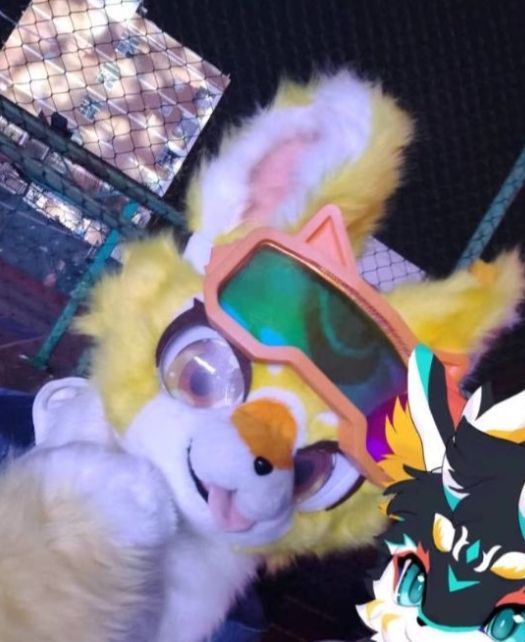 ファースーツ 着ぐるみセット NO.182 黄色 犬 ケモノ ファースーツ 全頭ヘッド ぬいぐるみ コスプレ コスチューム