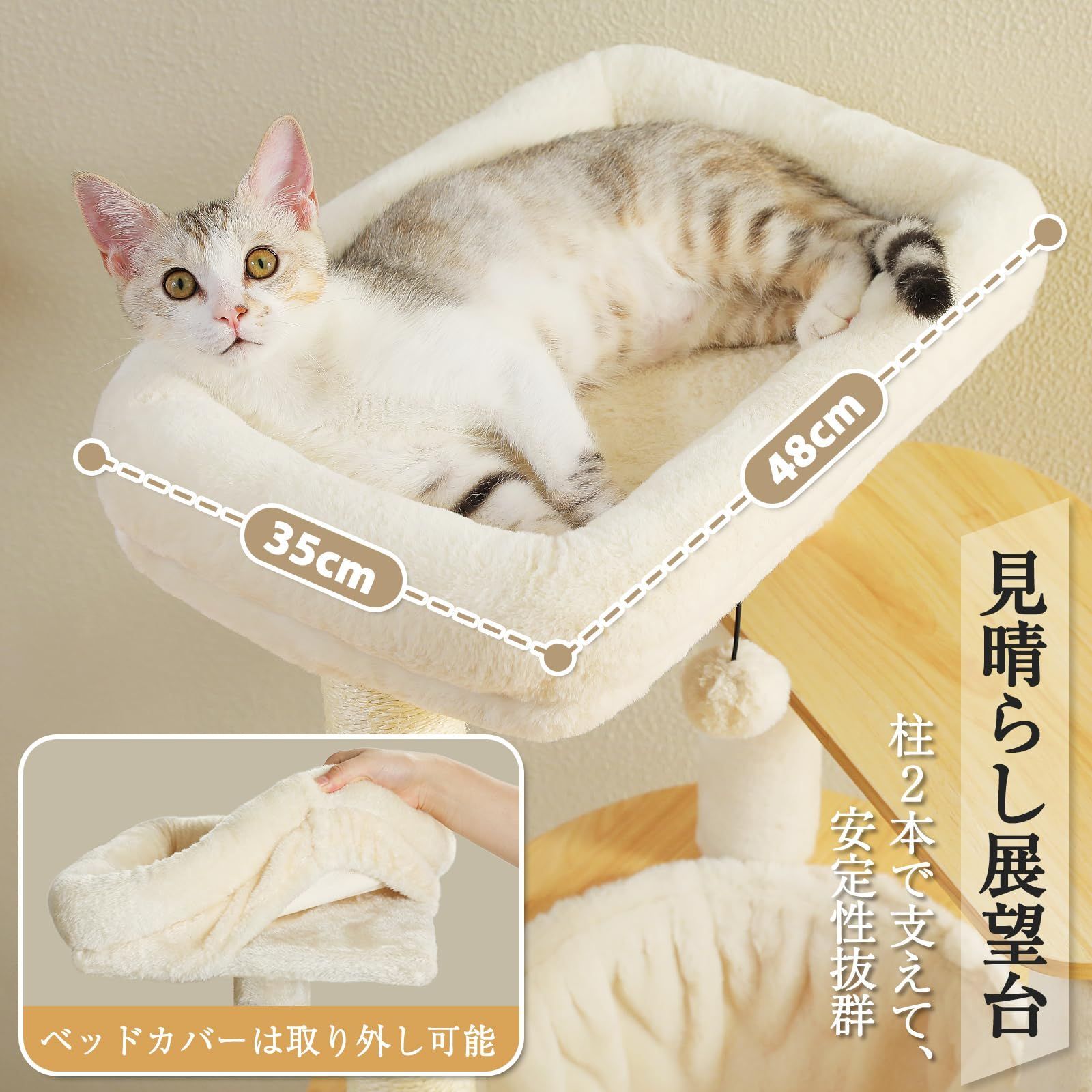 多頭飼い 宇宙船