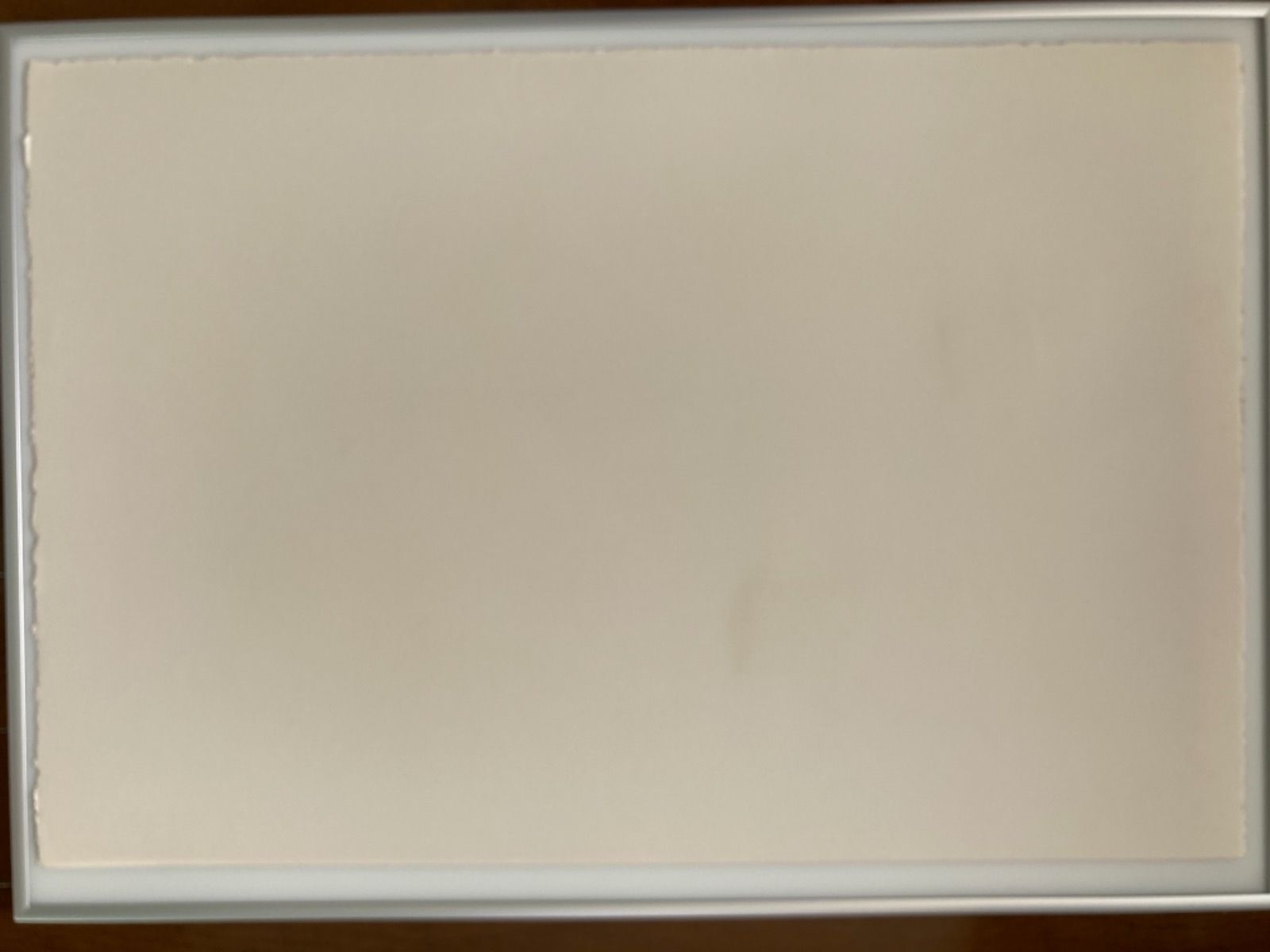 限定22枚 貴重 ジニー・キム シルクスクリーン コラージュ 版画 SC11