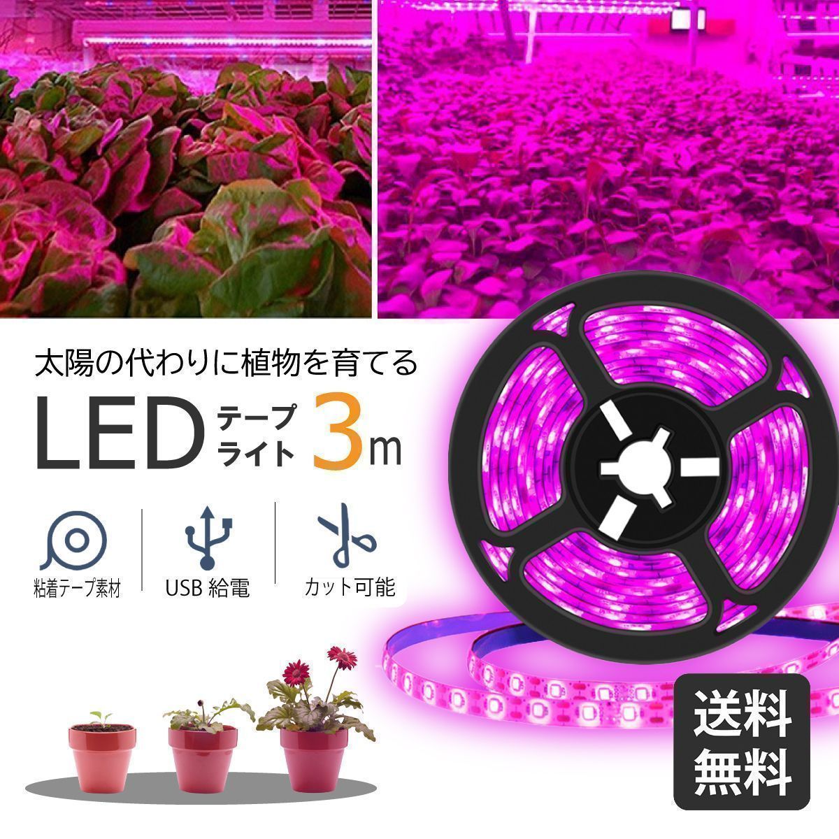 【アマテラスLED20w】観葉植物/水草育成照明