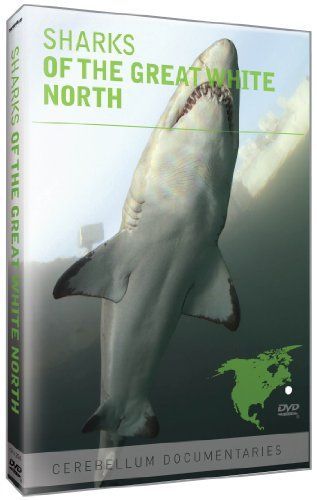 Sharks of the Great White North [DVD] 【公式通販】