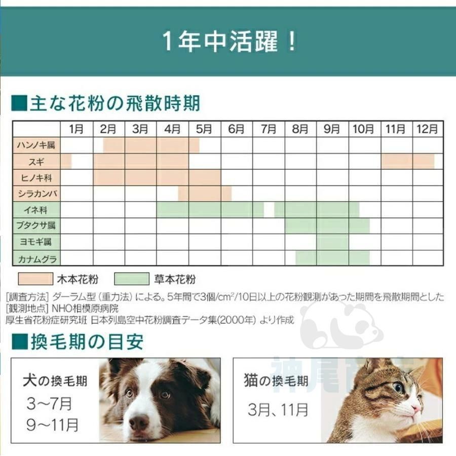 人気