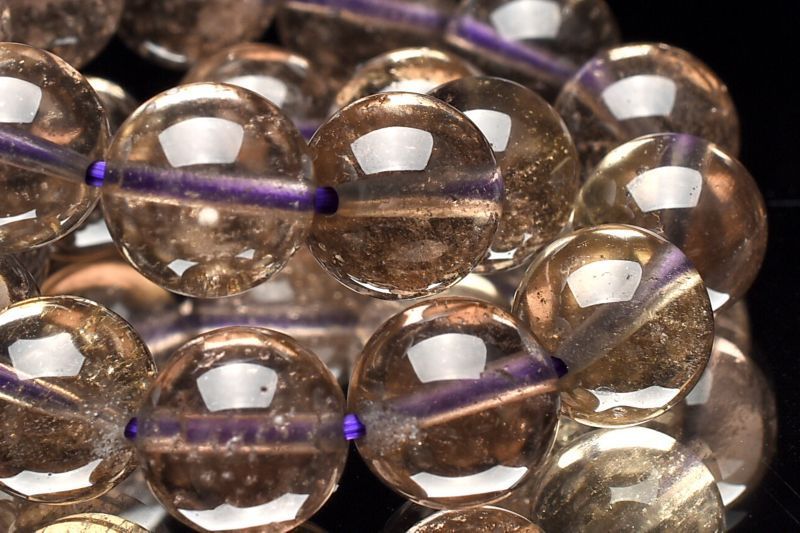 パープルリビアングラス