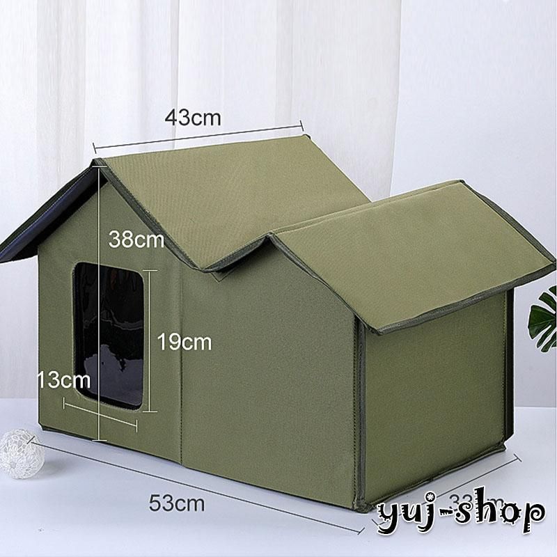 小型犬