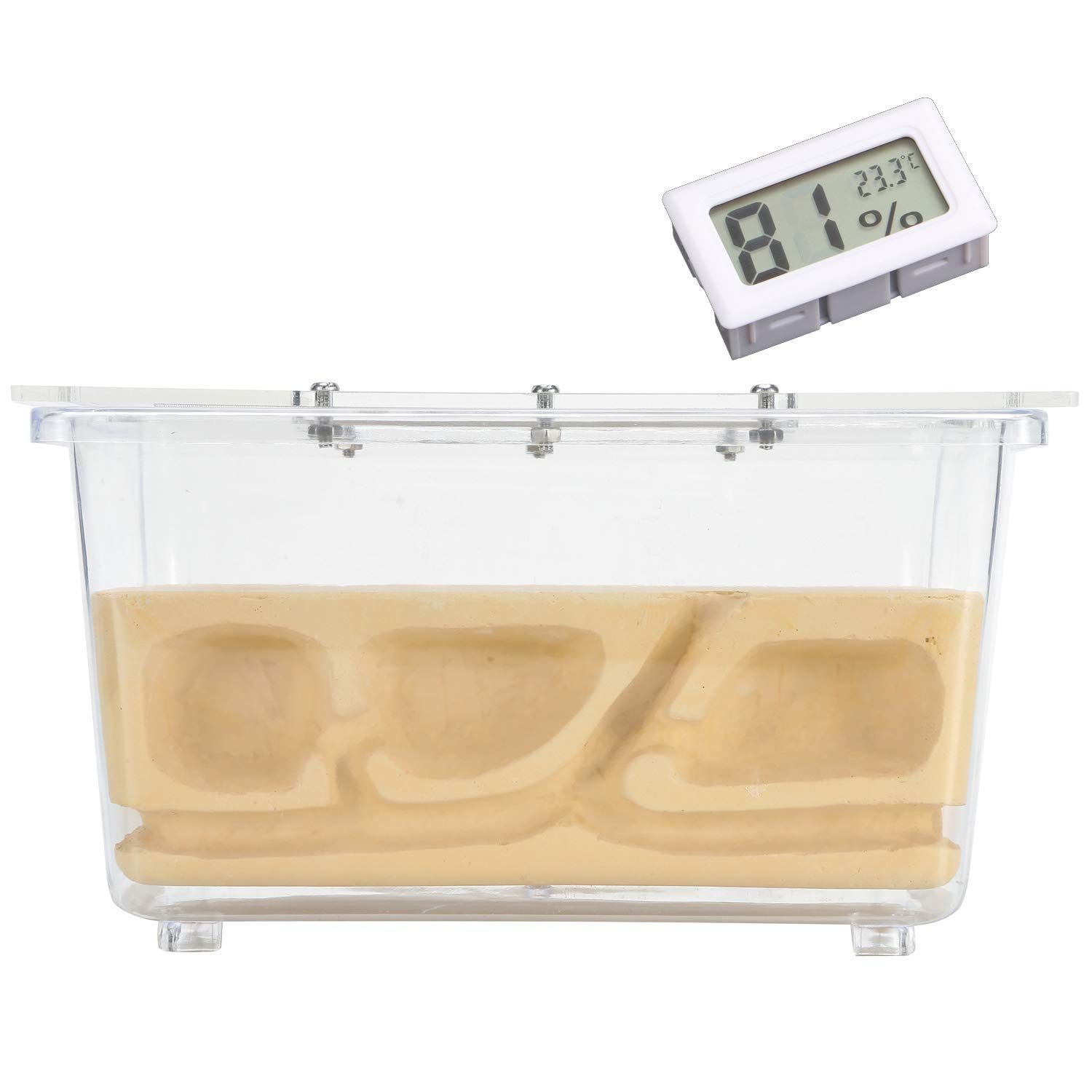 【新着商品】最初から巣ができあがっているので数の多いコロニーでもすぐに生活可能 衛生的でお子様にも安心な観察キット 保湿性が高く湿度管理がしやすい石膏巣の蟻専用飼育ケース 土