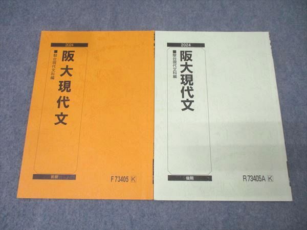 阪大国語(現代文&古文) 古文】鍵は現代語訳!?阪大で高得点を狙う勉強法【外国語・経済