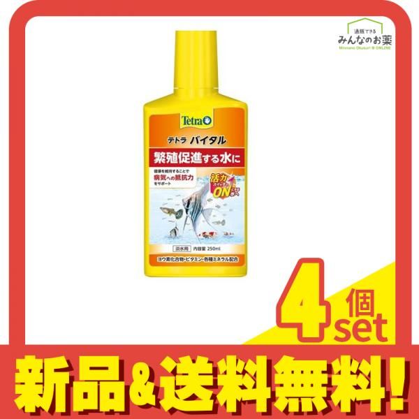 Tetra テトラ バイタル 250mL 4個セット